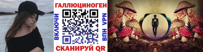 Галлюциногенные грибы Magic Shrooms  где купить наркоту  Краснокаменск 
